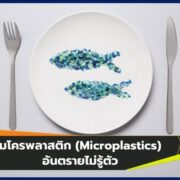 ไมโครพลาสติก (Microplastics) อันตรายไม่รู้ตัว