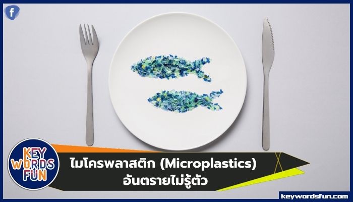 ไมโครพลาสติก (Microplastics) อันตรายไม่รู้ตัว